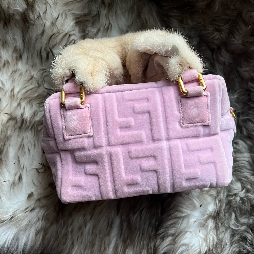 Fendi bag